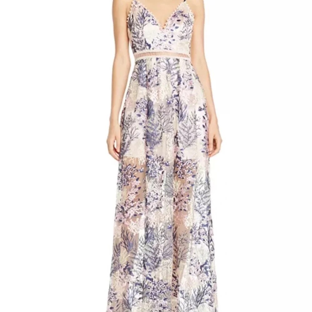 AQUA Embroidered Mesh Maxi Dress Blush Multi XS | Floral Lace Overlay Gown - Picture 2 of 12